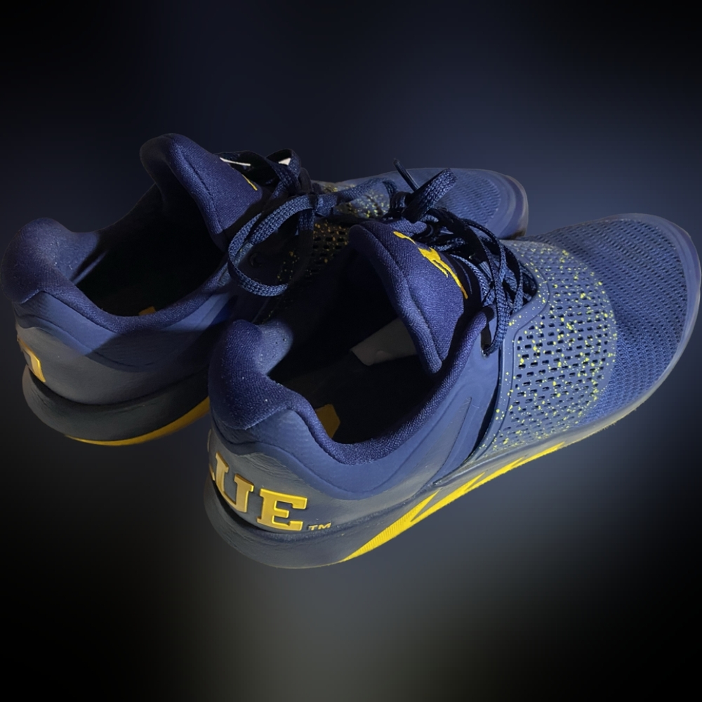 University of Michigan Nike Air Jordan Grind 2 Basketball Shoes